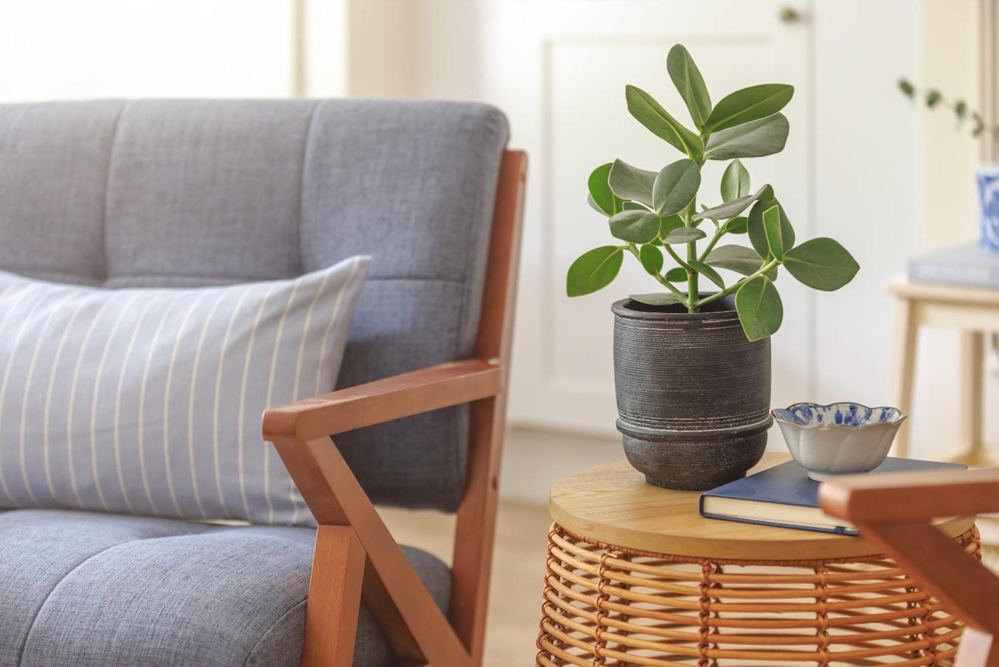 Ocean City Stylish Apartment Plymouth Eksteriør billede